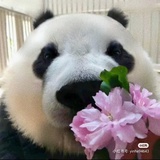山抹微云