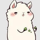 那时时光