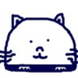 阿猫宝贝