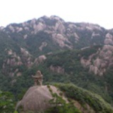 小小蚂蚁