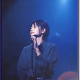 木 易