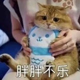 奇宝