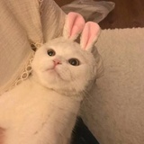 W.