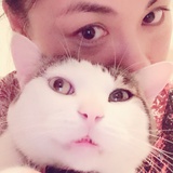 miaowu