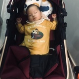 哈达剋