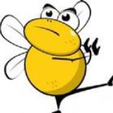 bee