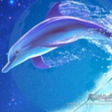 会笑的星星