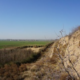 西汉愉快的白术