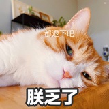 阿阿步