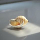 火柴