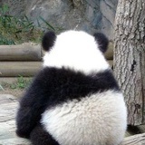 易然