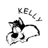 老猫KELLY