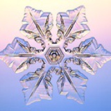 显微镜下的雪花