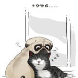 回凹凸