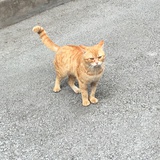 天凉好个秋啊秋