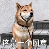 贫瘠女孩