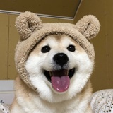 大白同学向前走