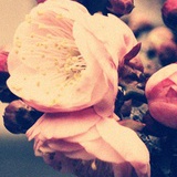 June