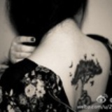 满满缺缺