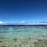 大海哥