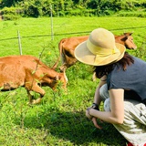 21世纪文坛仲永