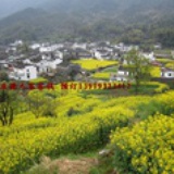 庆源人家