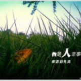 小波的天空