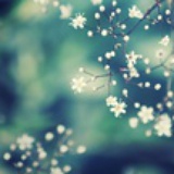 雨落清尘