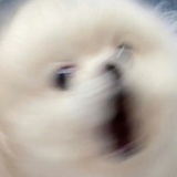 打游戏