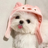沐晓