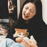 千层腹