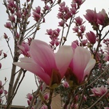 zhongy07