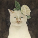 海洋眼眸