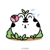 会理财的文青