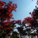 豆友50840915
