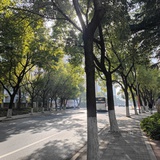 煙火打揚