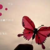 空冷月