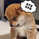 柯南指定黑衣人