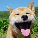 大飞
