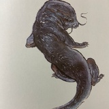 弱小