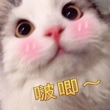 白日梦小妞