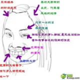 小猫钓鱼