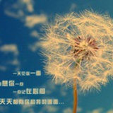 孤寂