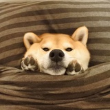 江江江