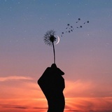雨中漫步