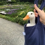 老火靓汤面