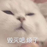 假装没注销
