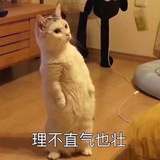 【靠谱妞】