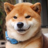 风隐