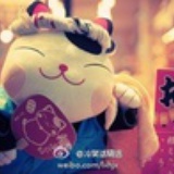 黄花大灰狼